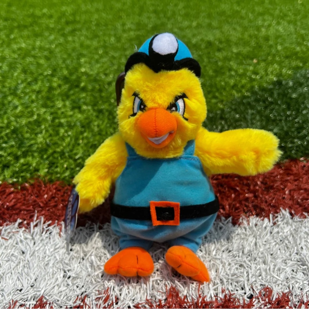 CHARLESTON WV DIRTY BIRDS DUSTY MASCOT PLUSH